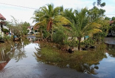 Hujan Deras dari Sore hingga Malam Hari, 2 Kecamatan di Kota Bengkulu Terendam Banjir