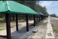 Pemkot Bengkulu Sediakan 30 Gazebo Gratis di Pantai Panjang untuk Wisatawan