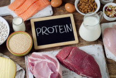 Taukah Kamu? Ada 5 Fungsi Protein untuk Tubuh, Cek Sekarang!