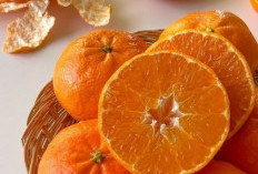 Bisa Membantu Meningkatkan Imunitas Tubuh, Cek Rekomendasi Makanan di Sini