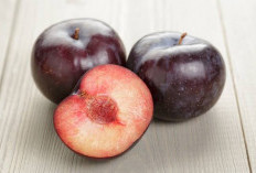 Wajib Tahu! Berikut Daftar Kelompok Orang yang pantang Makan Buah Plum, Siapa Saja?