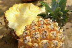 7 Efek Samping Nanas bagi Kesehatan jika Dikonsumsi Berlebihan