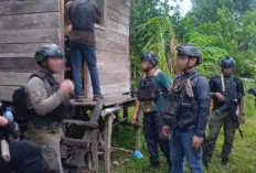 8 Terduga Jaringan KKB Yahukimo Pimpinan Ronal Heluka Ditangkap