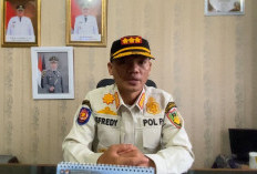 Siap-siap! Hewan Ternak Liar yang Terjaring Satpol PP Bengkulu Selatan Direncanakan Bakal Dilelang