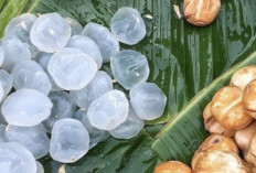 Stop Konsumsi Buah Lontar Secara Berlebihan, Bikin Gagal Diet