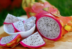 Cukup Dijadikan Sebagai Masker, Berikut Manfaat Buah Naga untuk Kecantikan Kulit 