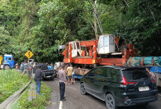 Truk Trailer Tergelincir di Liku Sembilan, Arus Lalu Lintas Bengkulu–Kepahiang Macet Panjang
