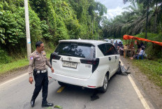 Adu Kambing Avanza Vs Innova di Ruas Jalan Lintas Barat Seluma, 2 Orang Luka Ringan