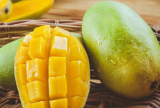 9 Manfaat Buah Mangga untuk Kesehatan Tubuh, Kaya Akan Antioksidan