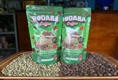 Dari Bengkulu ke Jakarta, Rodaba Coffee Dorong Kopi Lokal Naik Kelas