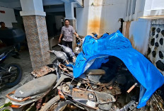 Pemkab Seluma Lelang Kendis dan Barang Inventaris Kantor, Cek Informasi dan Caranya di Sini