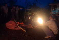 Geger Penemuan Mayat di Pematang Donok Kepahiang, Korban Ditemukan di Pondok Kebun