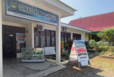 Keterbatasan APBD, 4 Pasar di Bengkulu Selatan Diusulkan Dapat Rehabilitasi dari Kemendag