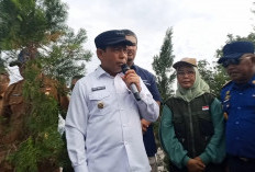 Penanaman Pohon Serentak di Bengkulu, Walikota: Ini Upaya Mitigasi Bencana Pesisir