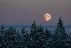 Fenomena Snow Moon 2026: Bulan Purnama Februari, Waktu & Cara Melihatnya