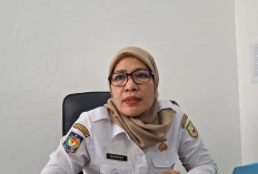 24 PPPK Paruh Waktu Pemprov Bengkulu Mengundurkan Diri, Evaluasi Kinerja Digelar September