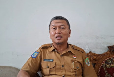 Jauh dari Target RPJMD, Realisasi Investasi Bengkulu 2025 Hanya Rp3,026 Triliun