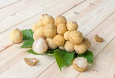 Konsumsi Buah Duku Bagus untuk Atasi Malaria, Cek Manfaatnya Disini!