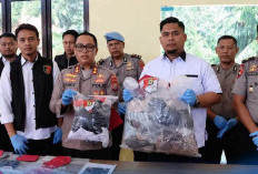 Peras Kepala Sekolah Rp15,5 Juta, 2 Oknum Mengaku Pers Digelandang Polres Mukomuko