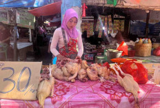 Libur Sekolah Picu Penurunan Harga Bapok di Pasar Panorama, Daging Ayam Rp30 Ribu per Kg