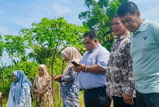 Bupati Bengkulu Selatan Gratiskan Pinjam Alsintan, Targetkan Tak Ada Lagi Lahan Sawah Terbengkalai
