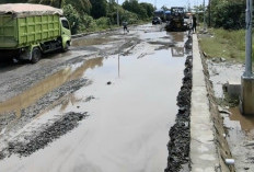 Pelindo Regional II Bengkulu Sembunyi dari Tanggung Jawab Kerusakan Jalan Pelabuhan