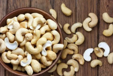 Tak Selalu Enak, Inilah Efek Samping Konsumsi Kacang Mete Berlebihan 