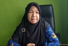Dinkes Seluma Catat 5 Kasus DBD dalam 6 Bulan Terakhir, Terbanyak di Pajar Bulan