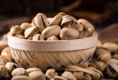 Waspada 7 Efek Samping Berbahaya dari Mengonsumsi Kacang Pistachio Secara Berlebihan, Penasaran?