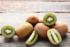Klaim Disini Manfaat Utama Buah Kiwi untuk Kesehatan Tubuh, Terbukti Ampuh Jaga Imun