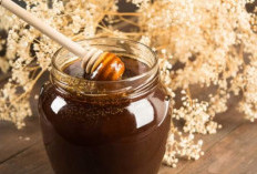 Madu Hitam Tawarkan Beragam Manfaat Istimewa untuk Merawat Kecantikan Kulit, Cek Disini!