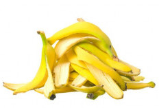 Penggunaan Berlebihan Picu Timbulnya Alergi, Ini Efek Samping dari Kulit Pisang