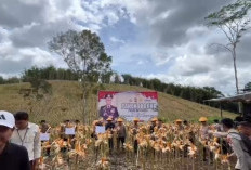 Dukung Ketahanan Pangan Nasional, Kapolda Bengkulu Gelar Panen Raya Jagung 5 Hektar di Kepahiang