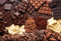Suka Makan Cokelat? Yuk, Kenali Fakta Menariknya Disini!