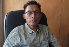 Ganti Bibit Unggul, Pemkab Bengkulu Selatan Targetkan 500 Hektare Sawit Diremajakan