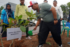 Pemkot Bengkulu Resmi Luncurkan Gerakan Gempita, Targetkan Penanaman 1.000 Pohon Kamboja
