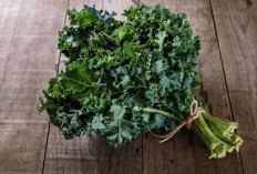 Ini Efek Samping Berbahaya dari Konsumen Sayur Kale Secara Berlebihan, Jangan Remehkan Ya!