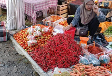 Harga Cabai Merah di Taba Penanjung Bengkulu Tengah Makin ‘Pedas’, Tembus Rp80 Ribu per Kilogram