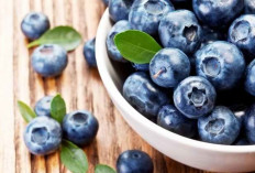 Kulit Glowing Seketika dengan Gunakan Buah Blueberry, Cek Manfaat Lengkapnya Disini!
