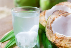 7 Manfaat Air Kelapa bagi Kesehatan, Salah Satunya Bisa Bantu Memenuhi Kebutuhan Cairan Tubuh