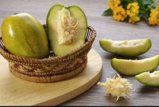 Kaya Akan Serat, Ini 7 Tawaran Manfaat Buah Kedondong untuk Kesehatan 