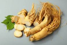 9 Manfaat Ginseng untuk Kesehatan Rambut, Cek Juga Kandungan Nutrisinya!