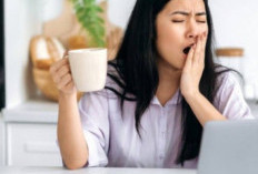 Penyebab Sering Mengantuk yang Jarang Diketahui, Bukan Hanya karena Kurang Tidur