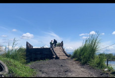 Jembatan Rusak Parah di Teluk Sepang Kota Bengkulu, Sultan B Najamudin Janji Segera Koordinasi Bersama Pemda