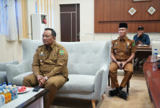 Bobotnya Tembus 800 Kg, Sapi Simental Kurban Bantuan Presiden Prabowo Bakal Dipotong di Sumber Jaya