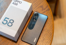 Ini 6 Rekomendasi HP Murah Berkualitas 2026, Cek di Sini! Ada OPPO A58