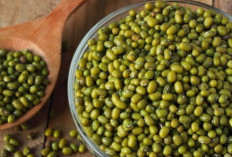 Waspadai Perut Kembung, Ini Efek Samping Kacang Hijau bagi Kesehatan jika Dikonsumsi Berlebihan