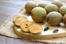 Inilah 10 Manfaat Tak Terduga Buah Sawo untuk Kecantikan Kulit dan Rambut, Cek Sekarang!