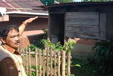 Tinggal di Gubuk 2x3,5 Meter, Warga Kelurahan Pensiunan Kelahiang Belum Terima PKH dan BPNT