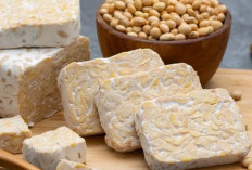 Sumber Protein Nabati, Ini Manfaat Tempe bagi Kesehatan, Baik untuk Menjaga Pencernaan